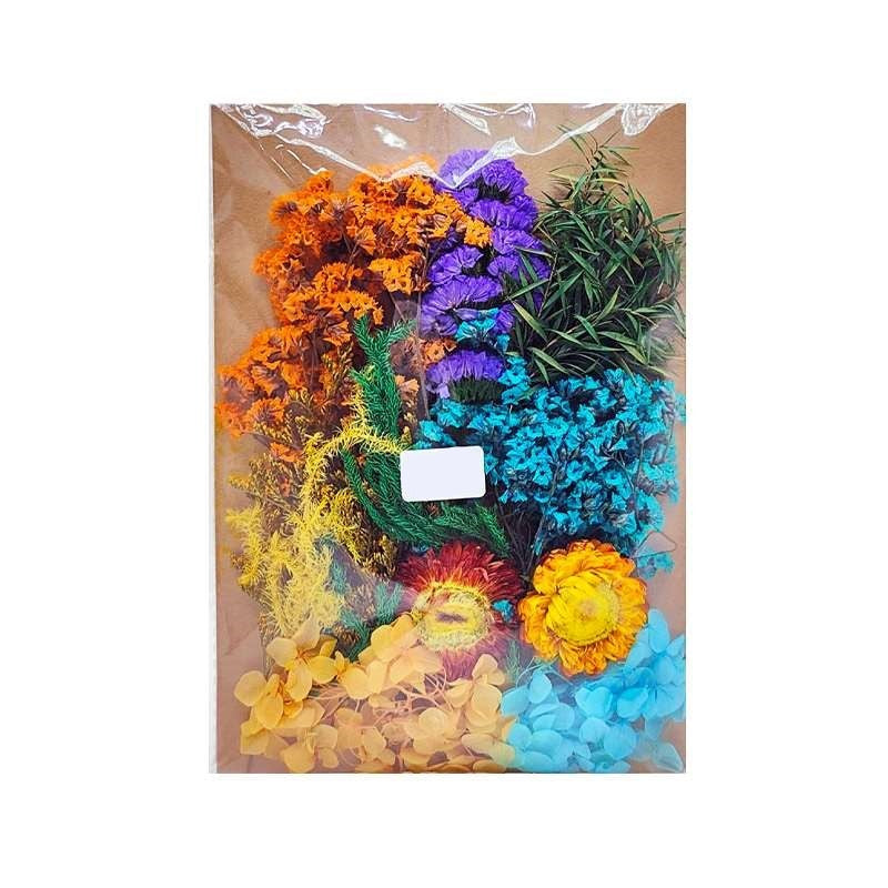 Dried Flowers Pack