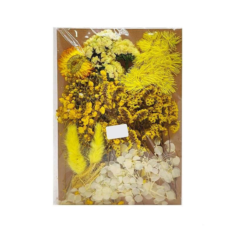 Dried Flowers Pack