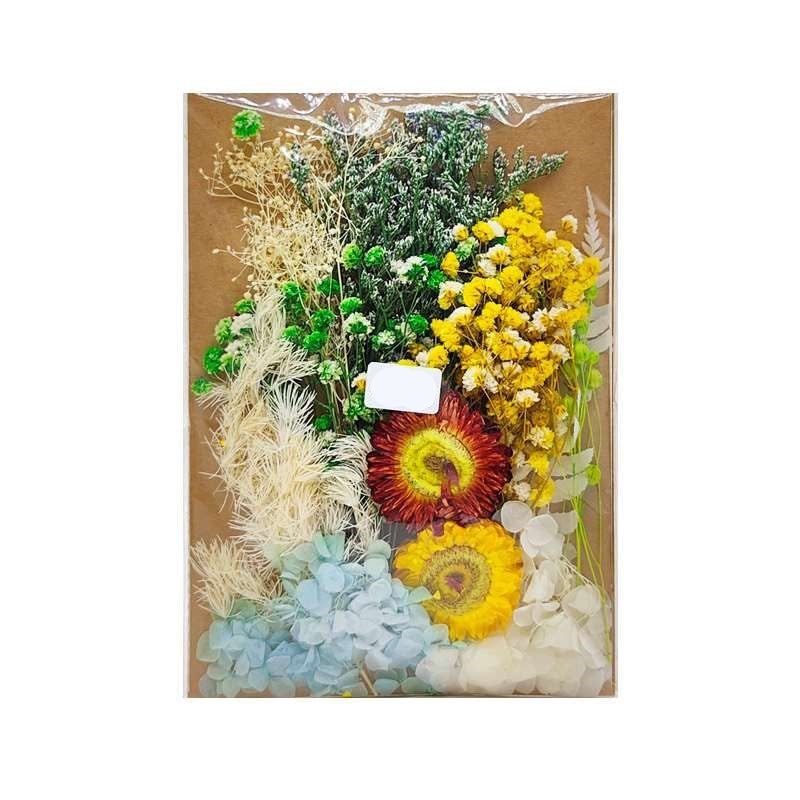 Dried Flowers Pack