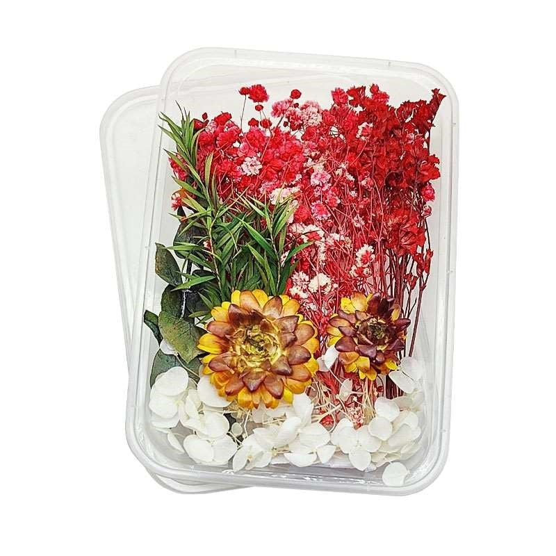 Dried Flowers Box
