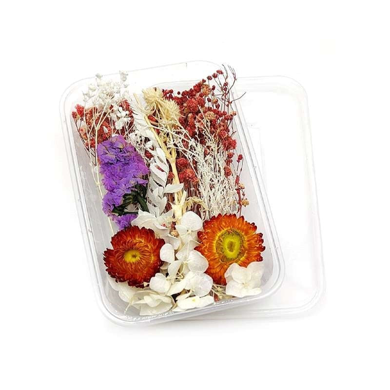 Dried Flowers Box