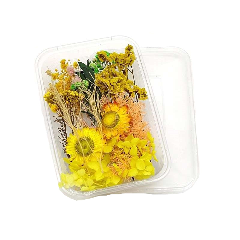Dried Flowers Box