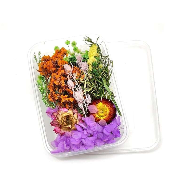 Dried Flowers Box