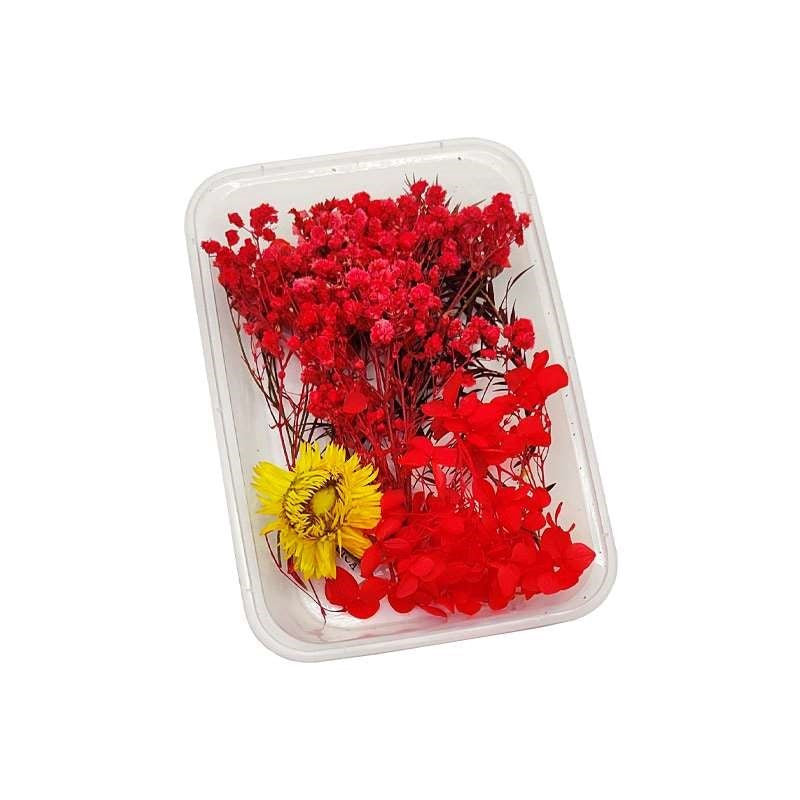 Dried Flowers Box