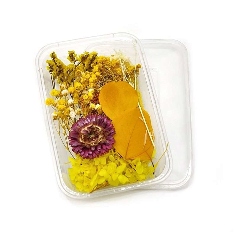 Dried Flowers Box
