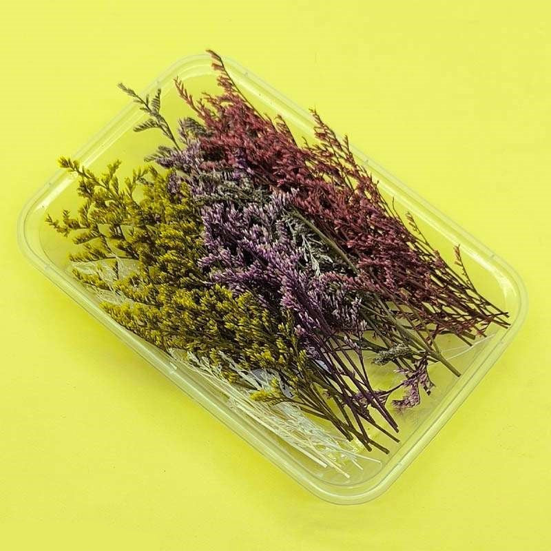 Dried Flowers Box