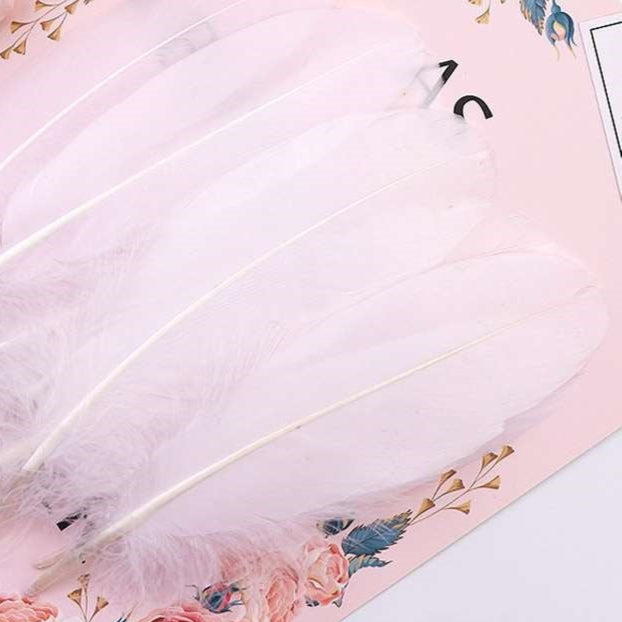 Big Hard Feathers 10pcs