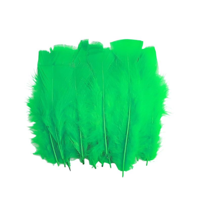 Big Soft Feathers 10pcs
