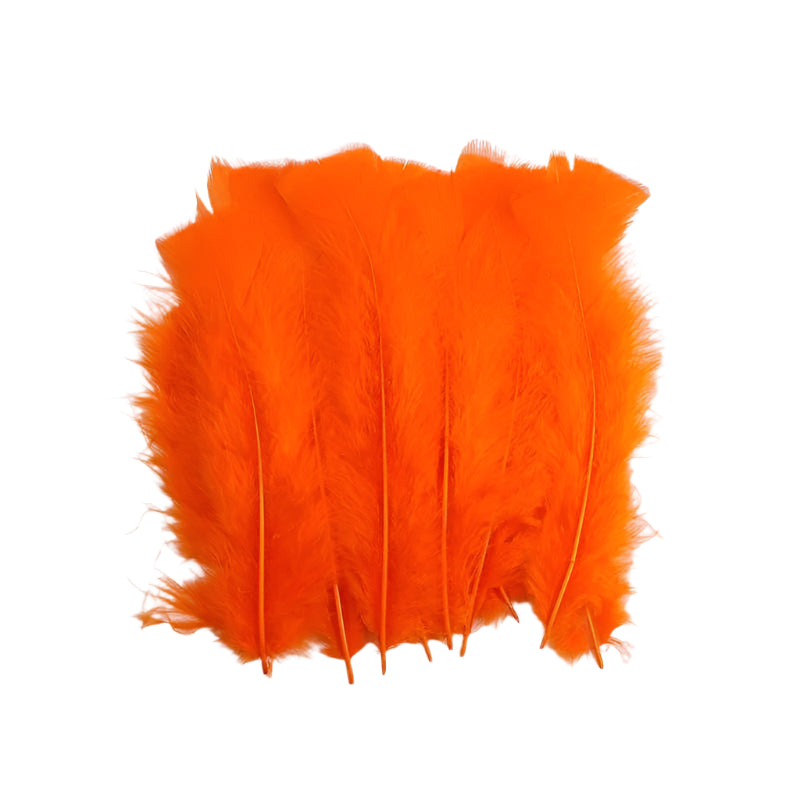 Big Soft Feathers 10pcs