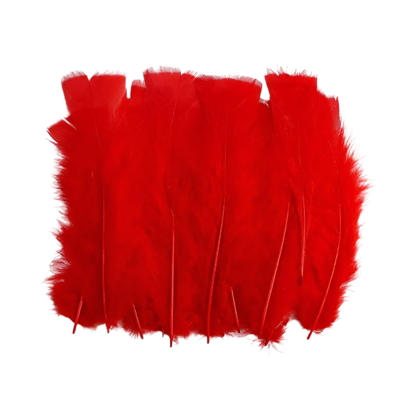 Big Soft Feathers 10pcs