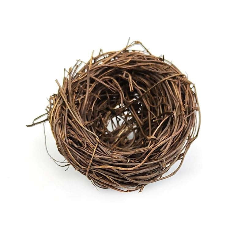 Nest Miniature