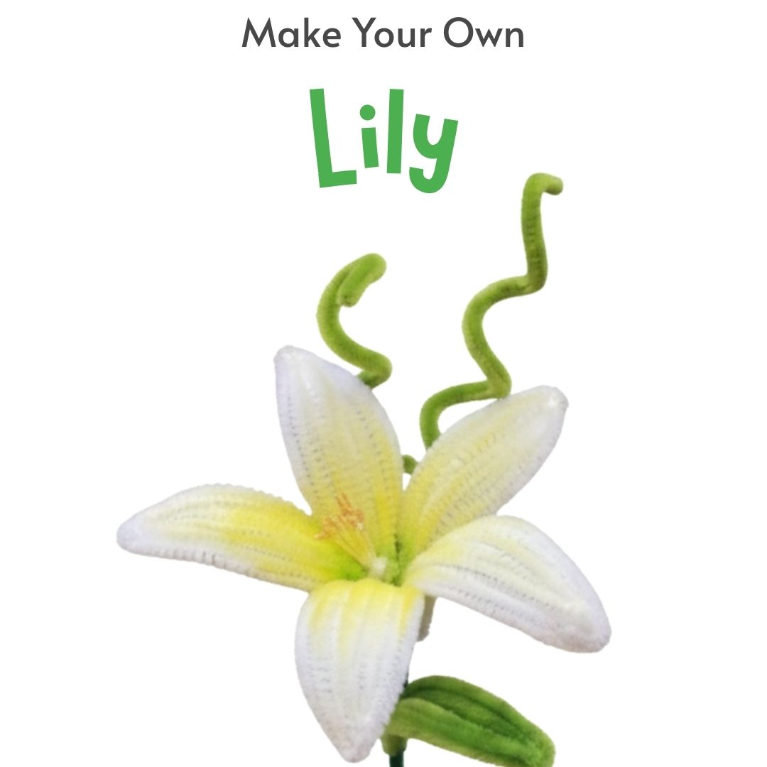 lily flower diy Pipe Cleaner Crafts – DIY White Lily Flower Kit