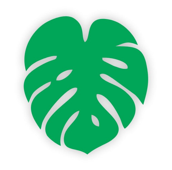 Acrylic Tea Coasters Excotic Tropical Leaf