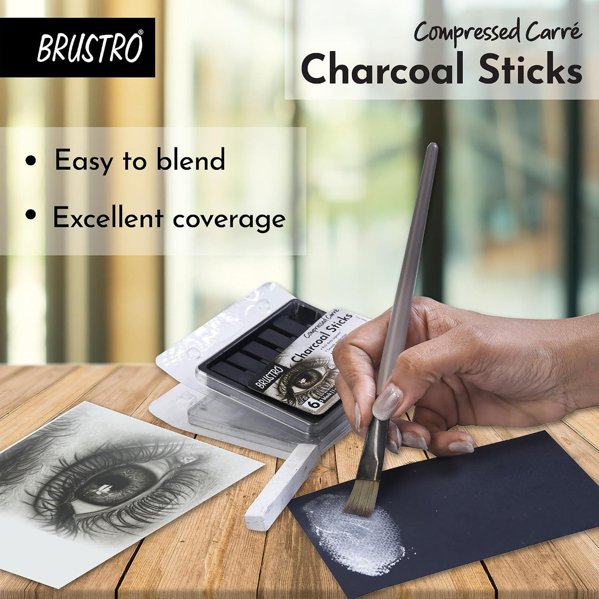 BRUSTRO Artist Compressed Carre Charcoal Sticks - Set of 6 (5 Black & 1 White Stick)