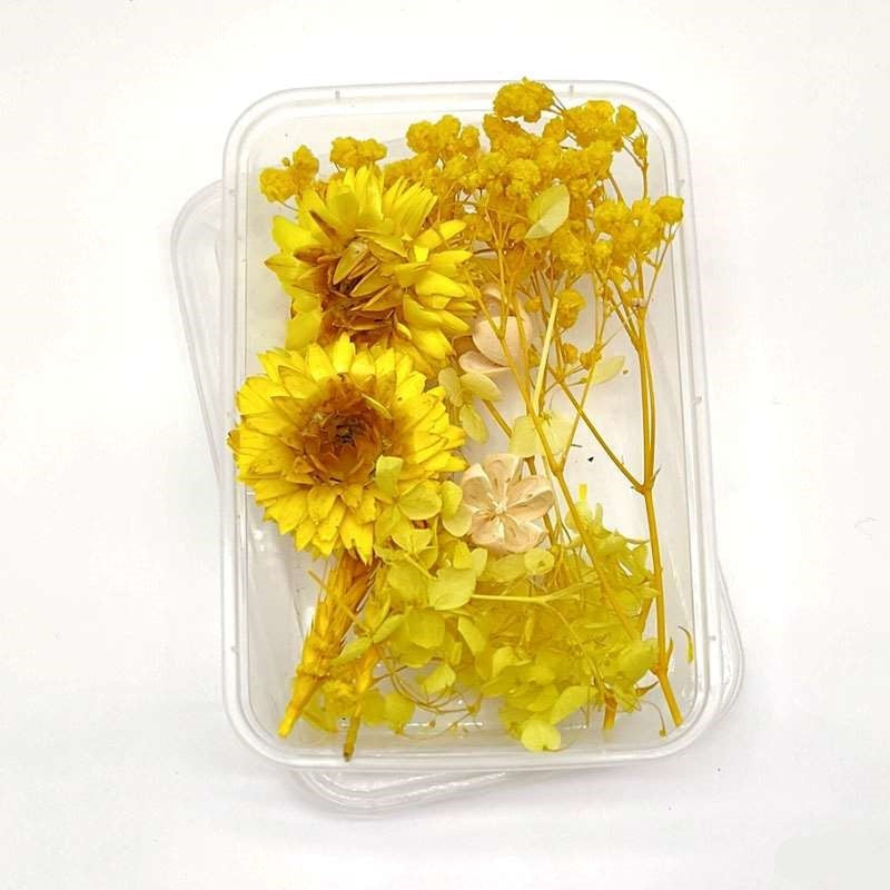 Dried Flowers Box