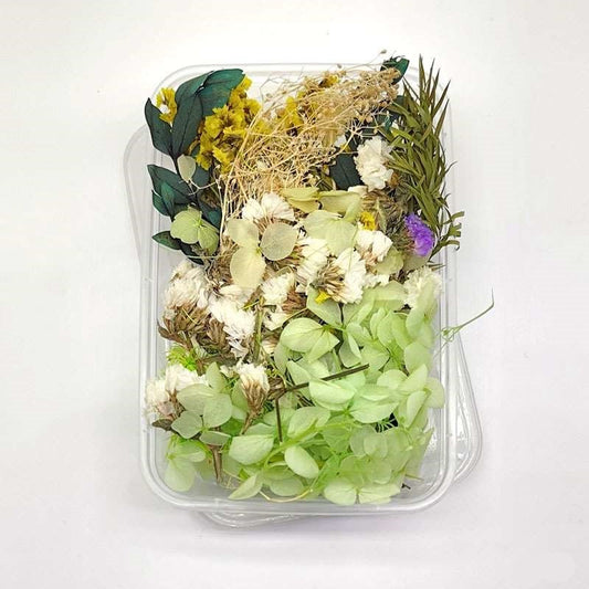 Dried Flowers Box