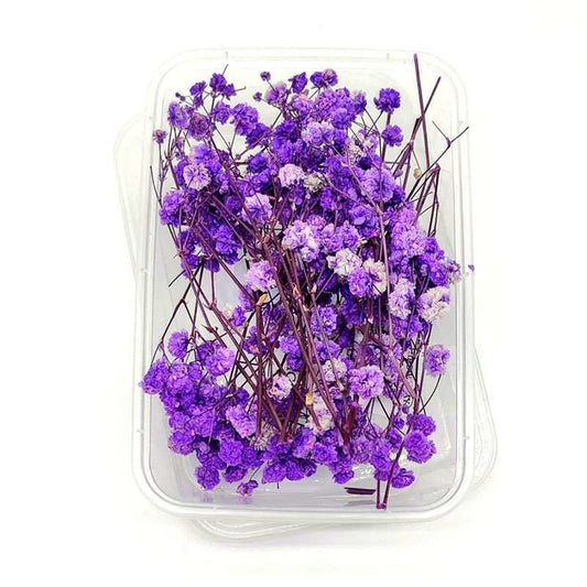Dried Flowers Box