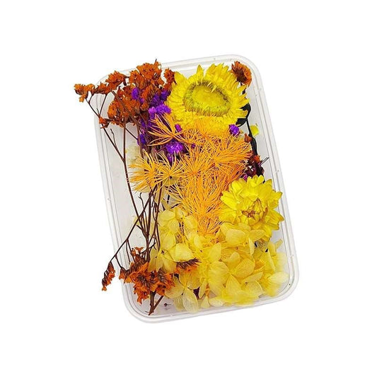 Dried Flowers Box