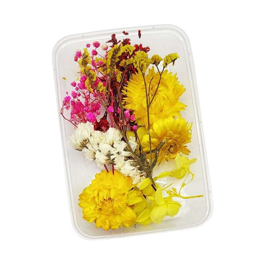 Dried Flowers Box