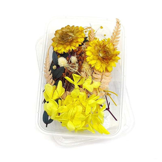 Dried Flowers Box