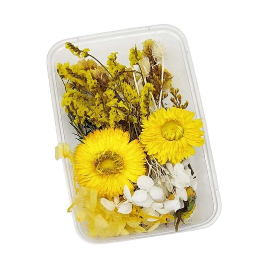 Dried Flowers Box