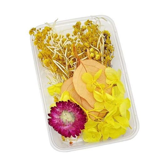 Dried Flowers Box