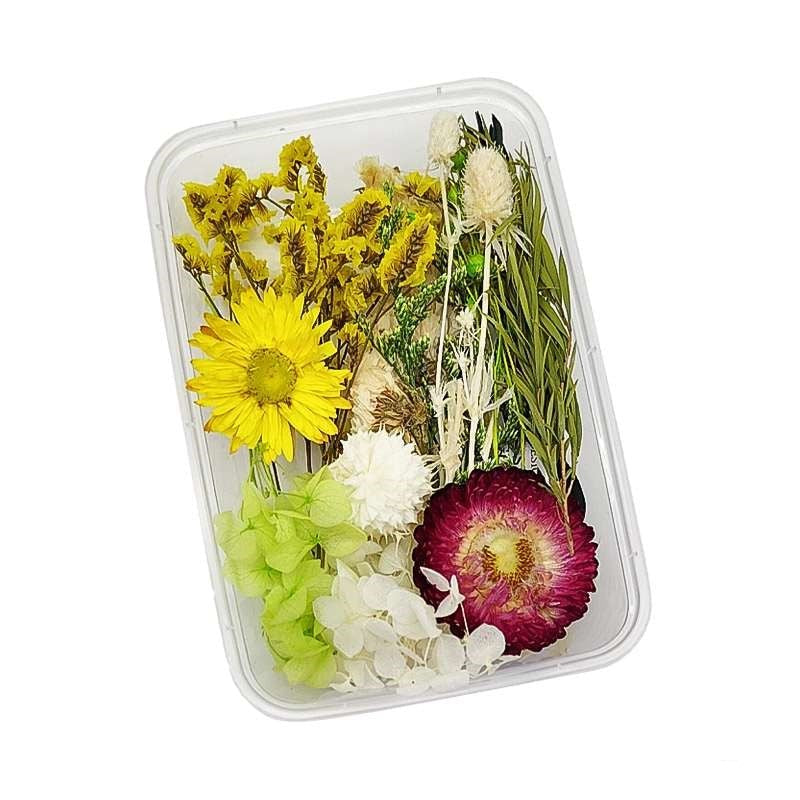 Dried Flowers Box