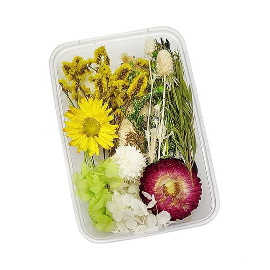 Dried Flowers Box