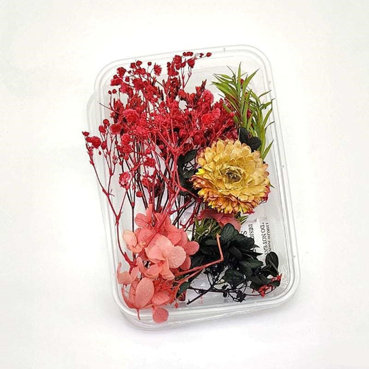 Dried Flowers Box