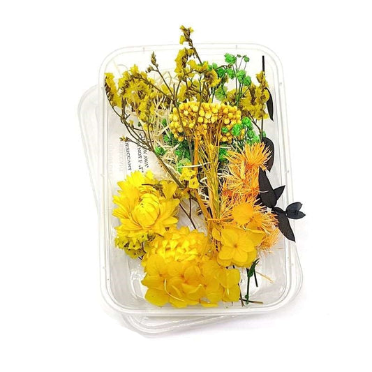 Dried Flowers Box