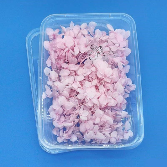 Dried Flowers Box