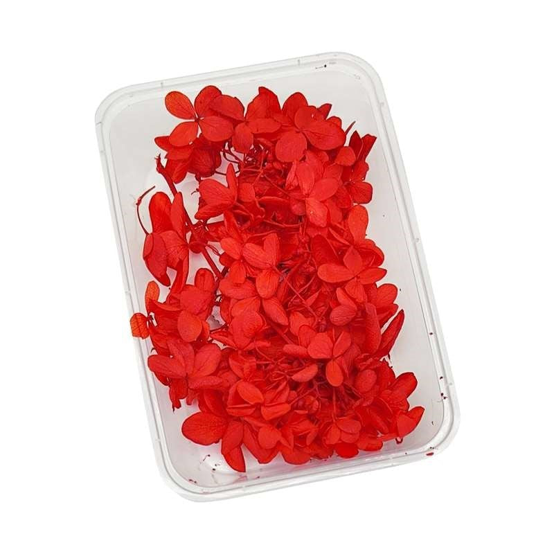 Dried Flowers Box