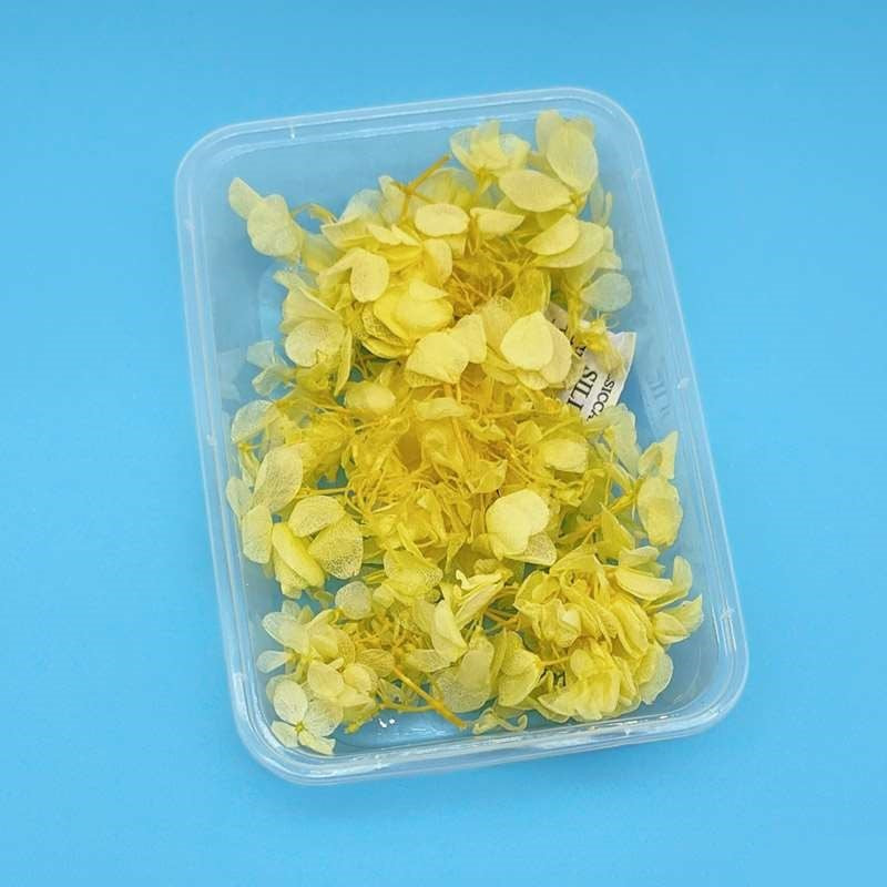 Dried Flowers Box