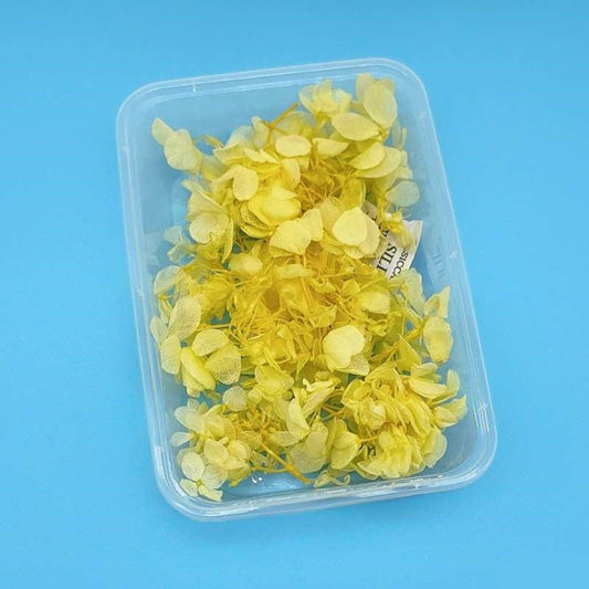 Dried Flowers Box