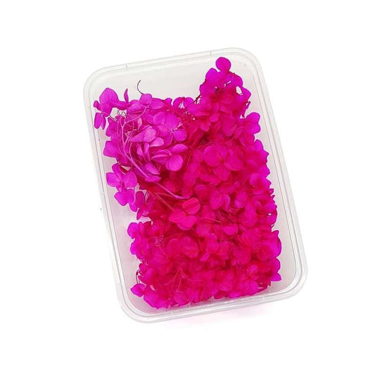 Dried Flowers Box