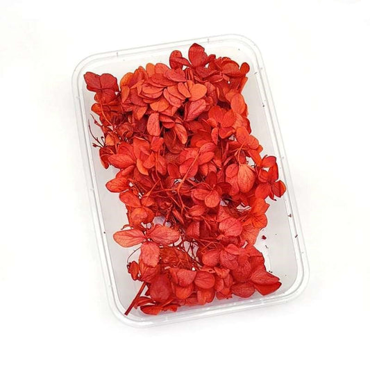Dried Flowers Box