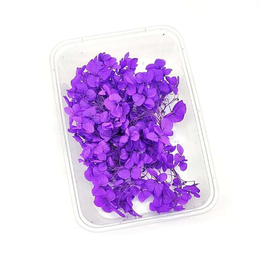 Dried Flowers Box