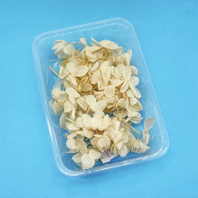 Dried Flowers Box