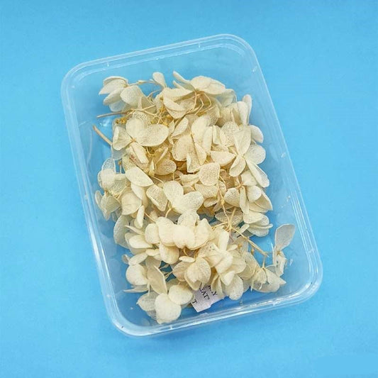 Dried Flowers Box