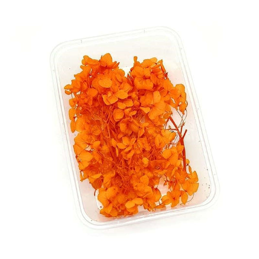 Dried Flowers Box
