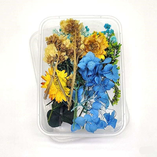 Dried Flowers Box