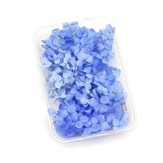 Dried Flowers Box