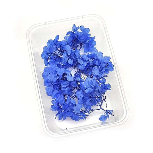 Dried Flowers Box