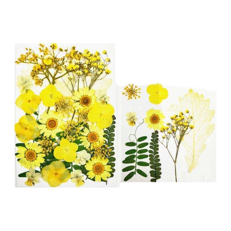 Natural Dried Pressed Flowers