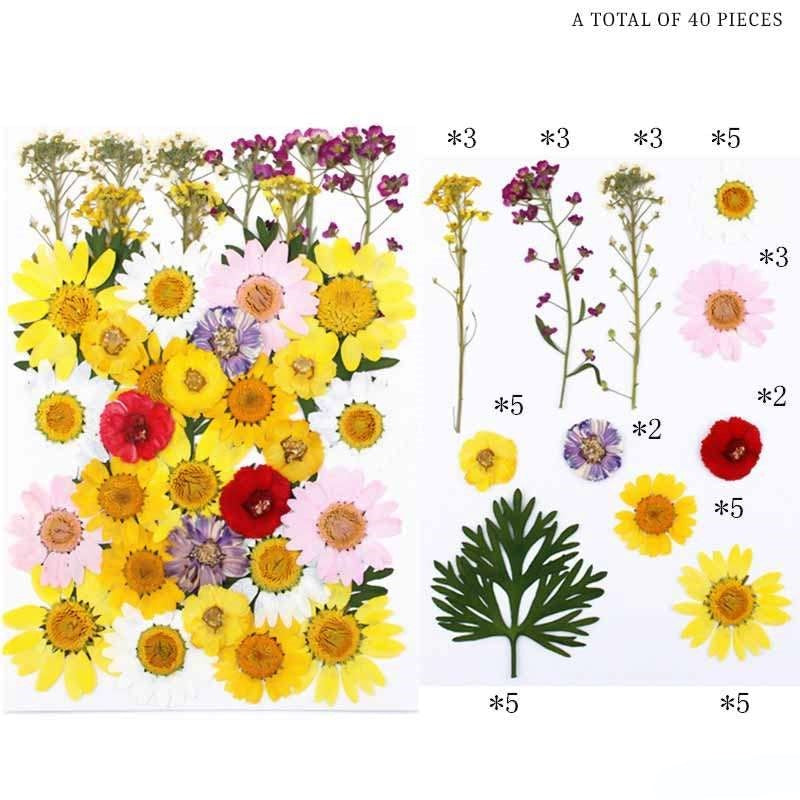 Natural Dried Pressed Flowers