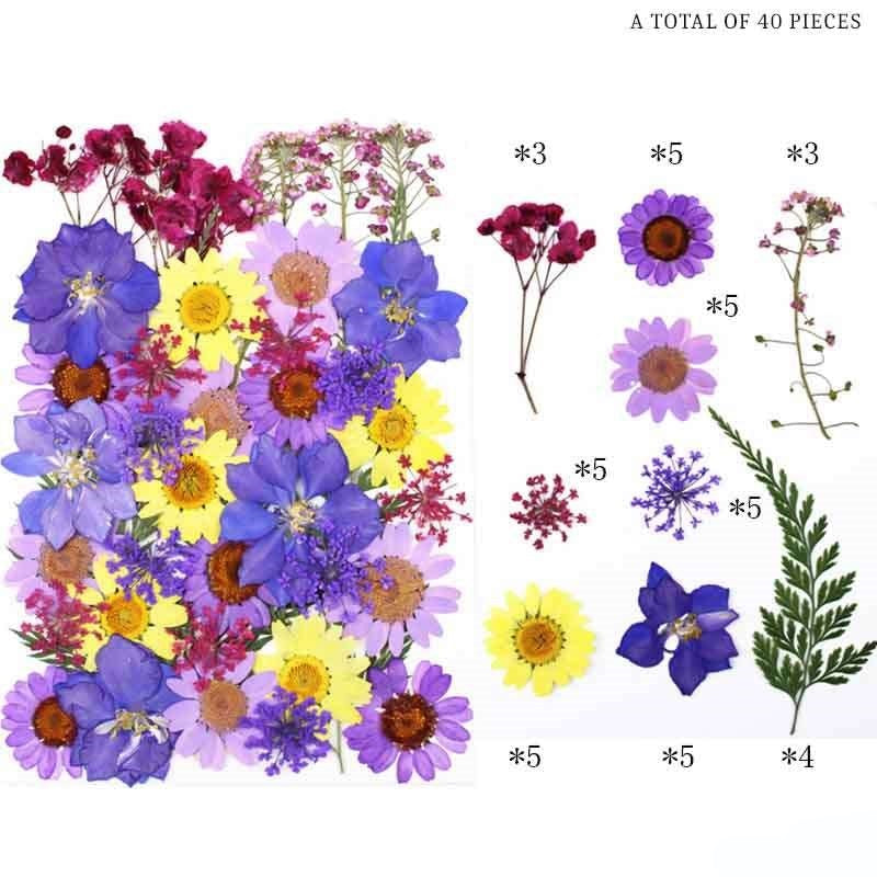 Natural Dried Pressed Flowers
