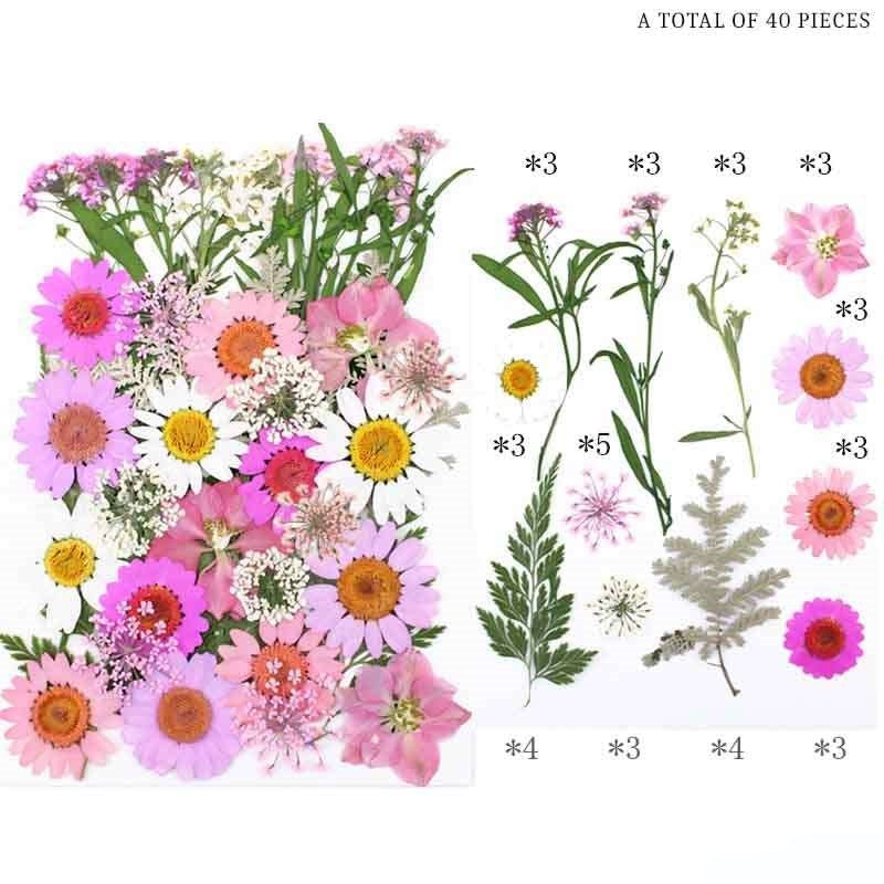 Natural Dried Pressed Flowers