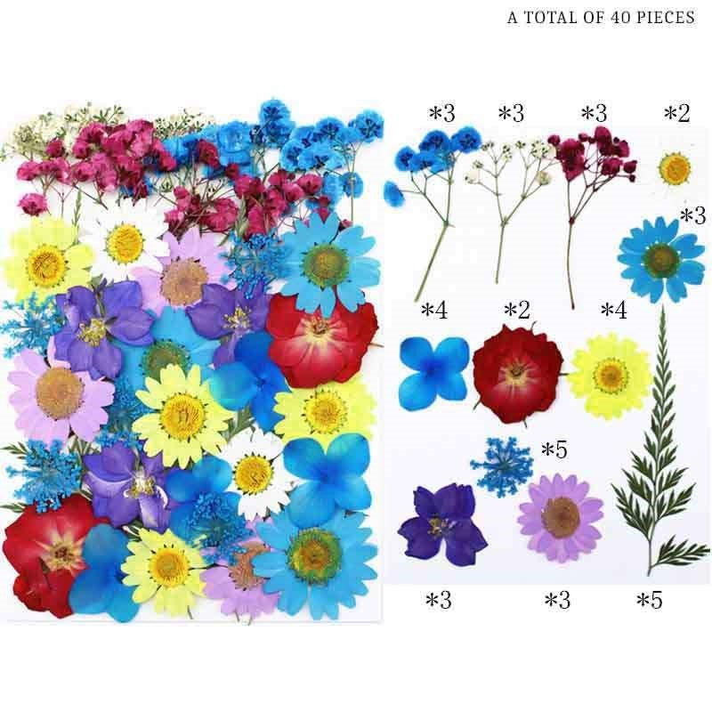 Natural Dried Pressed Flowers