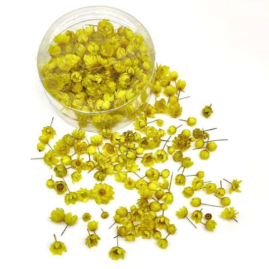 Dried Flowers 140pcs