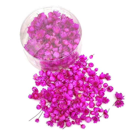 Dried Flowers 140pcs